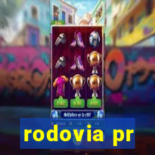 rodovia pr-317 km 155 onde fica